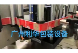 貼（tiē）標（biāo）噴碼機（jī）