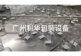 開心果，碧根果，巴達木，罐裝包裝生產線