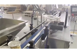 半自動抽真空充氮（dàn）封罐機